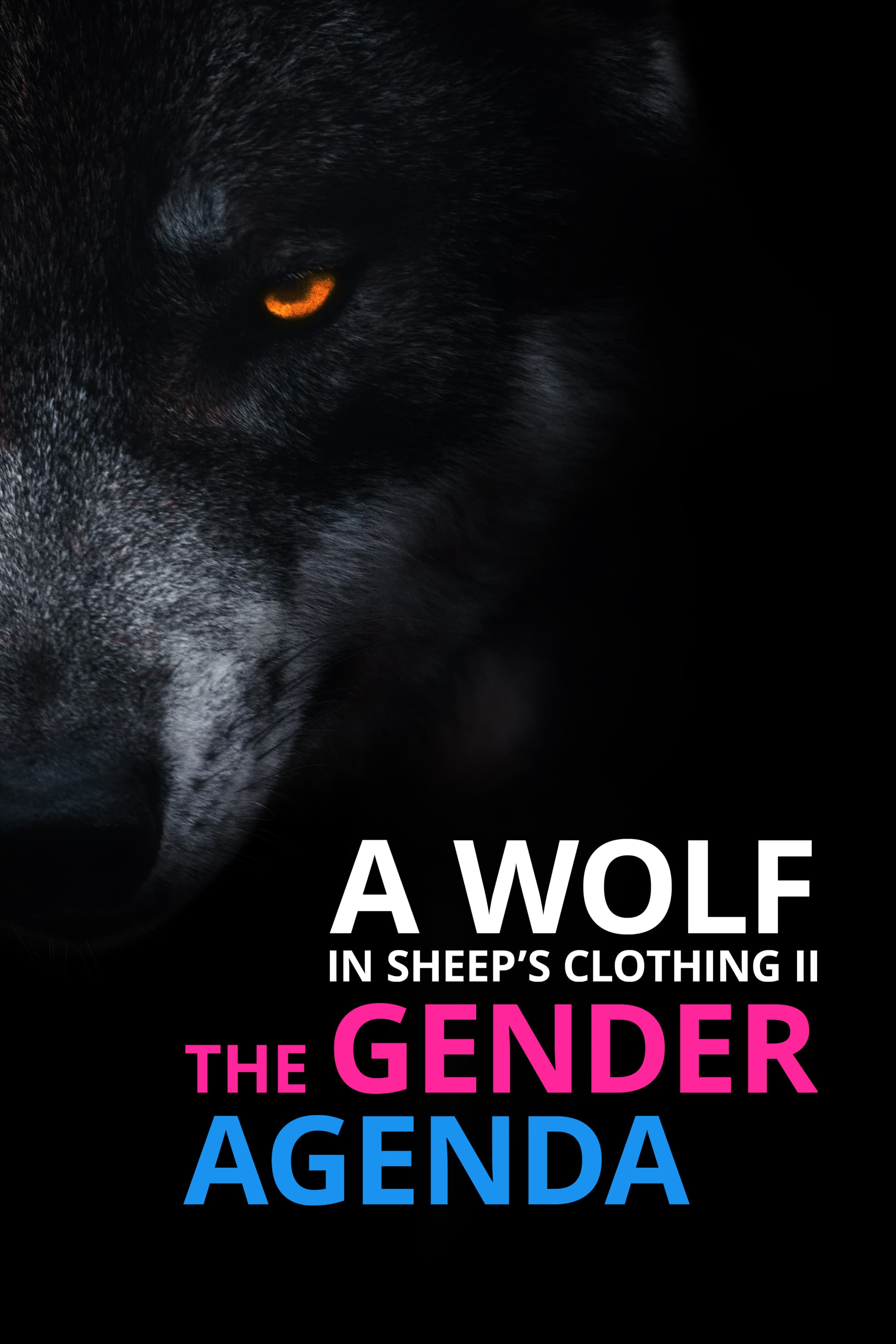 A Wolf in Sheep’s Clothing II- the Gender Agenda