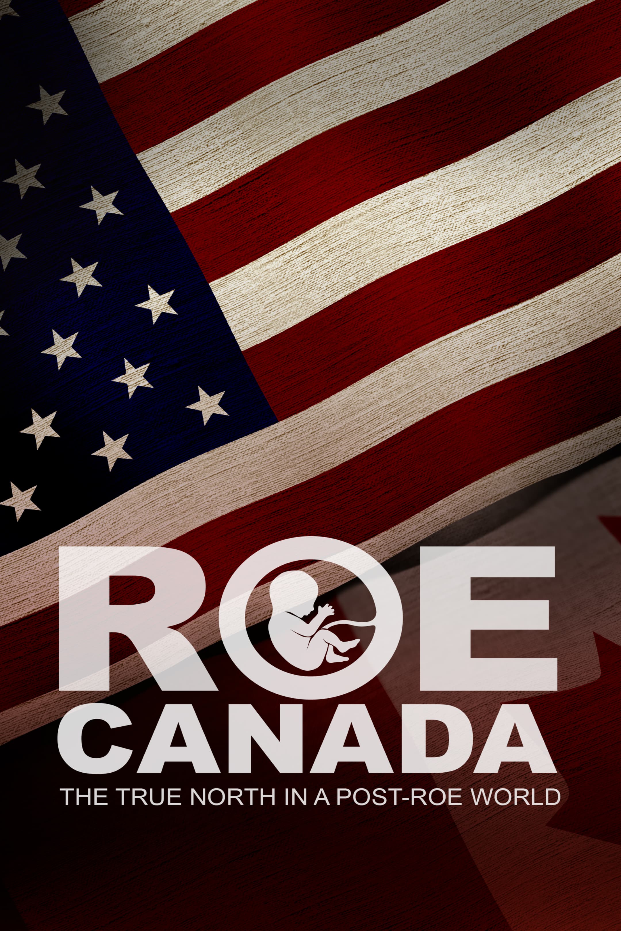Roe Canada- the True North in a Post-Roe World