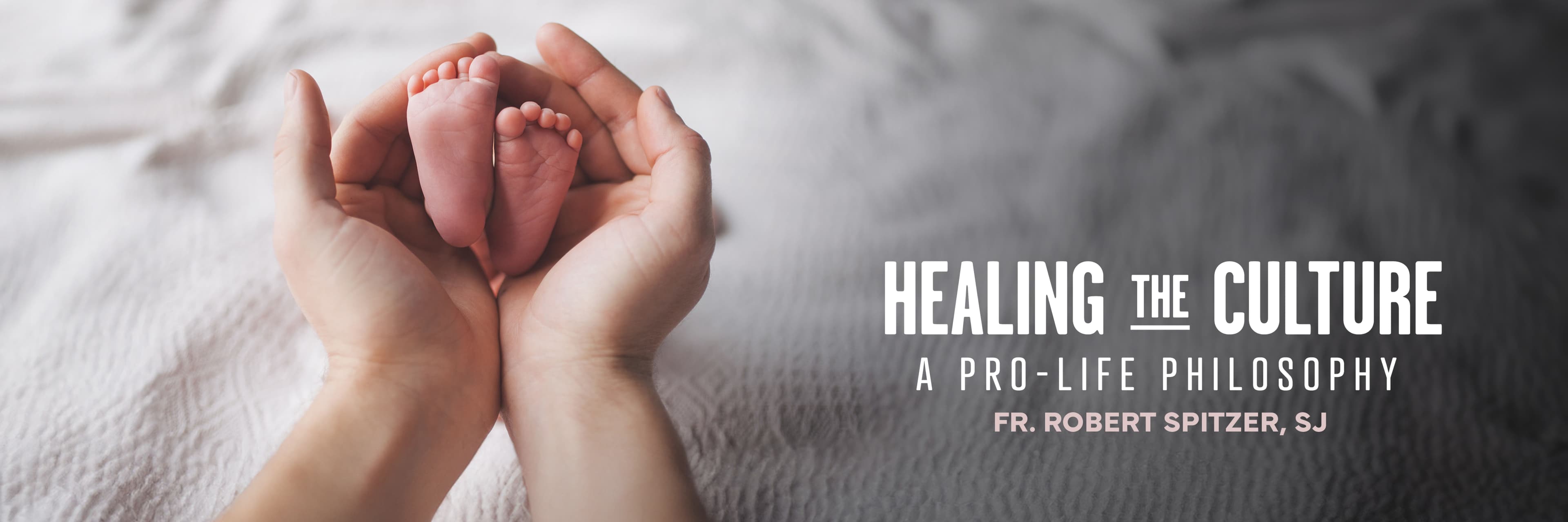 Healing the Culture: a Pro-Life Philosophy