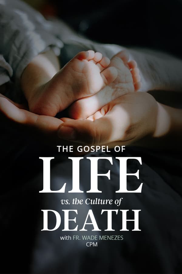Meditations With Fr. Groeschel