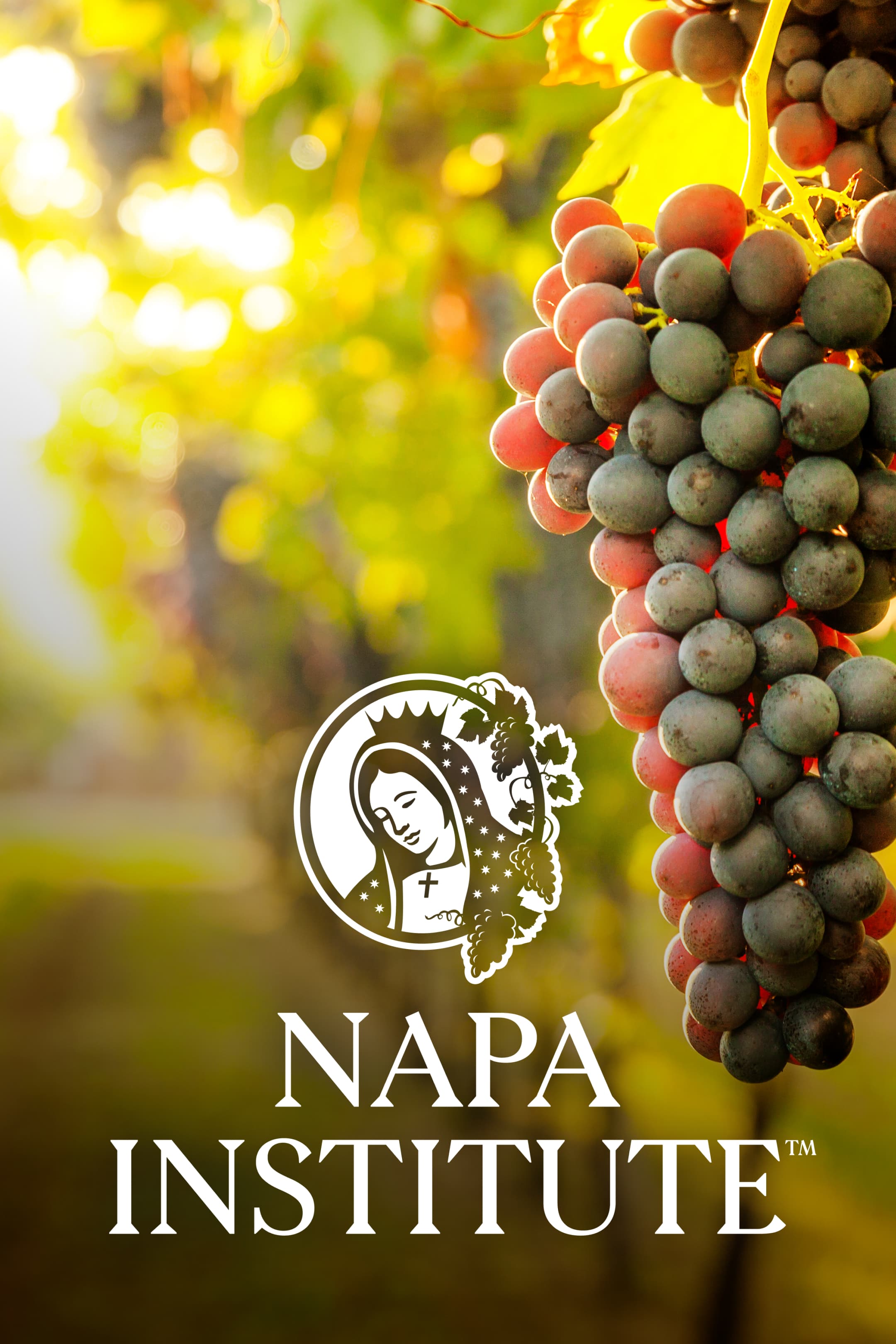 Annual Napa Institute Conference
