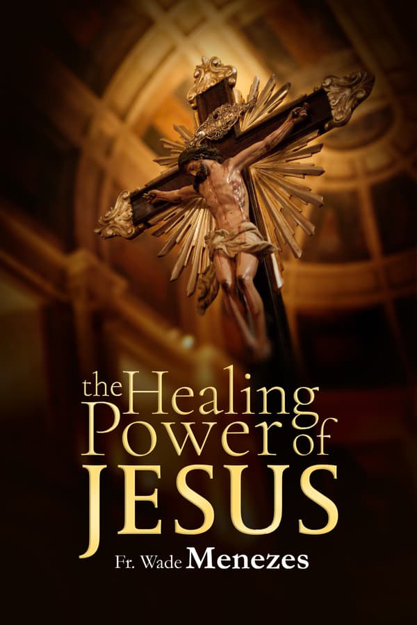 Holy Day Meditations by Groeschel